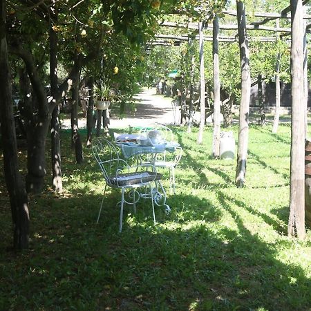 דירות קסטלמרה די סטביה Emy'S Country House מראה חיצוני תמונה