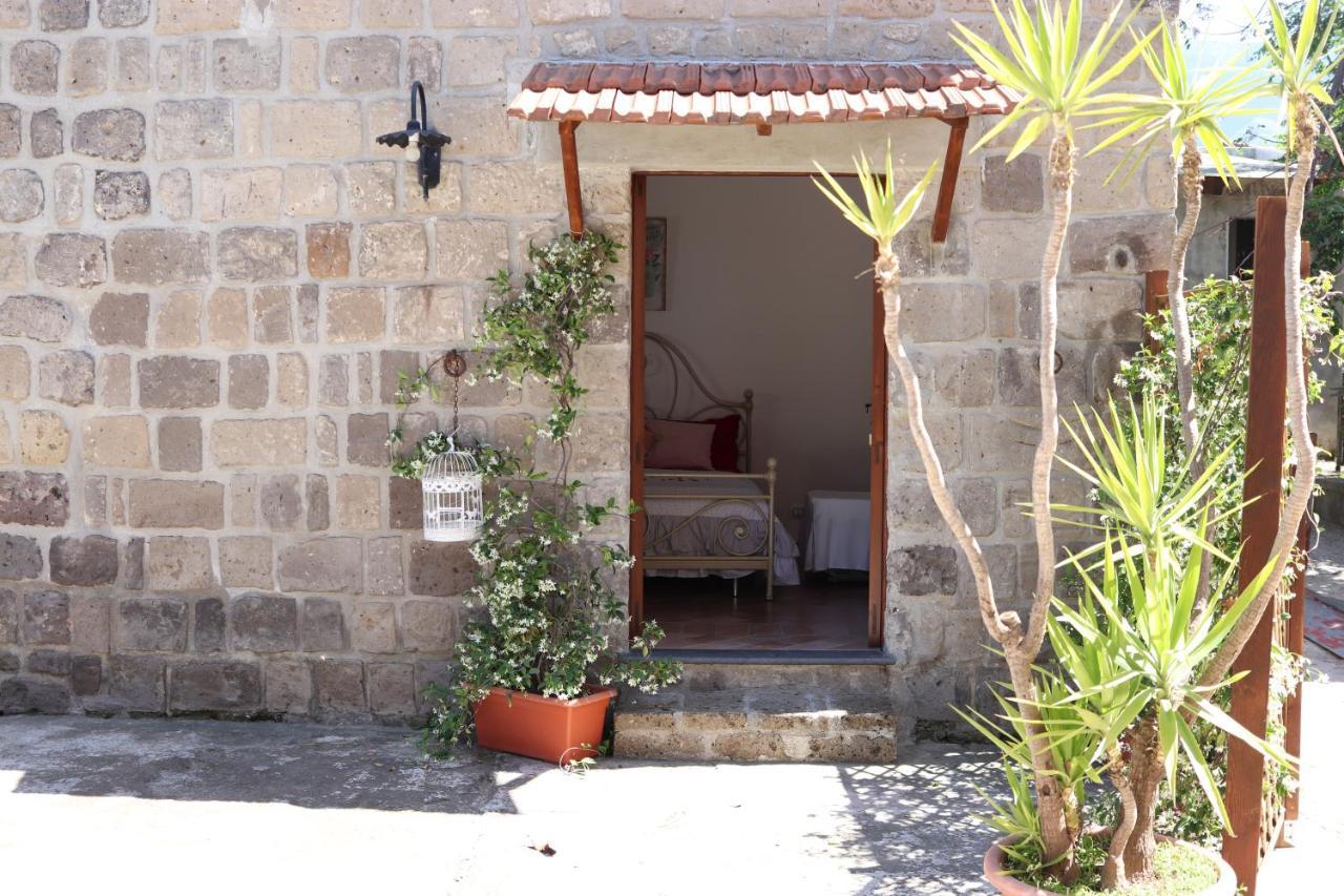 דירות קסטלמרה די סטביה Emy'S Country House מראה חיצוני תמונה