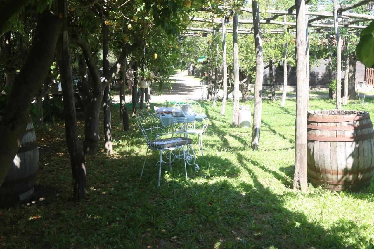 דירות קסטלמרה די סטביה Emy'S Country House מראה חיצוני תמונה