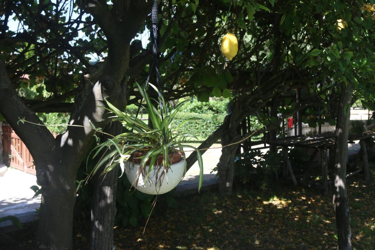 דירות קסטלמרה די סטביה Emy'S Country House מראה חיצוני תמונה