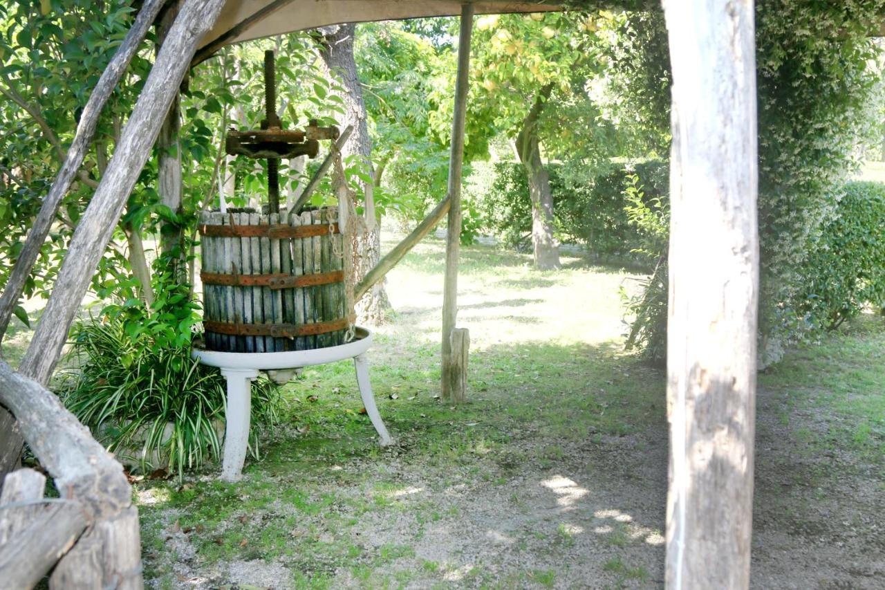 דירות קסטלמרה די סטביה Emy'S Country House מראה חיצוני תמונה