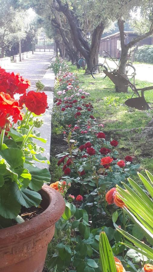 דירות קסטלמרה די סטביה Emy'S Country House מראה חיצוני תמונה